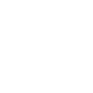 Gazellebedrift
